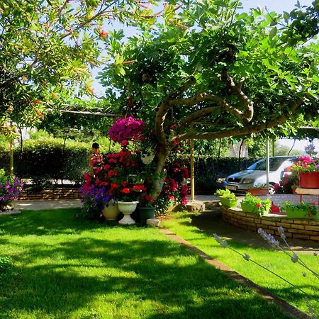 Beach Apartments Roza - The Garden Apartment Biograd Na Moru Exterior photo