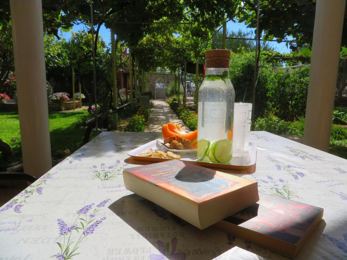 Beach Apartments Roza - The Garden Apartment Biograd Na Moru Exterior photo