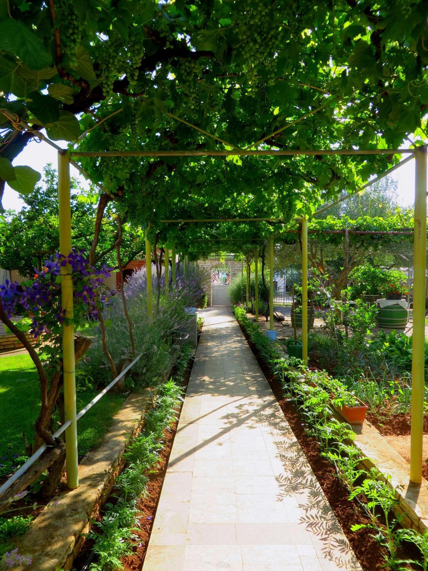 Beach Apartments Roza - The Garden Apartment Biograd Na Moru Exterior photo
