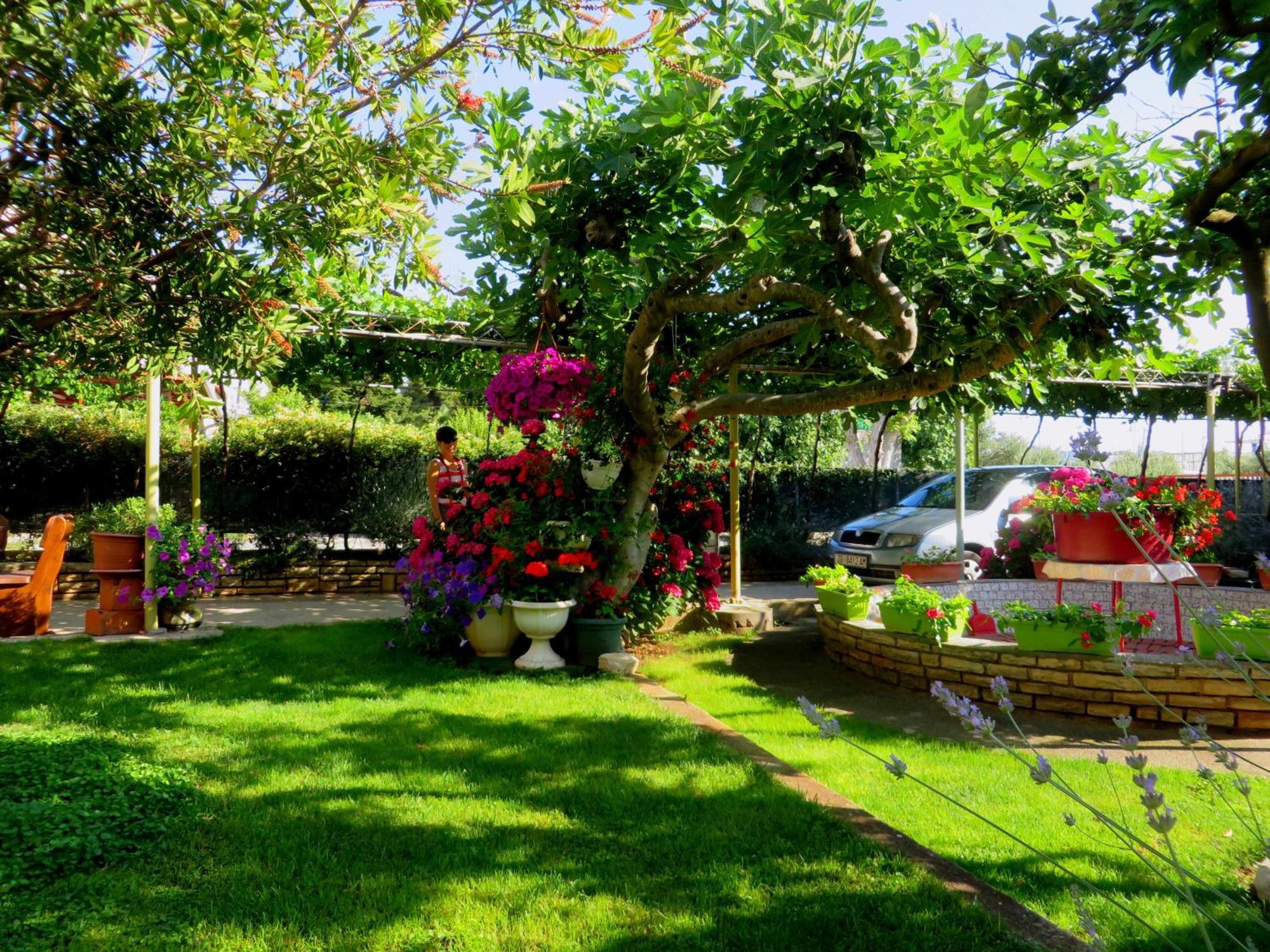 Beach Apartments Roza - The Garden Apartment Biograd Na Moru Exterior photo