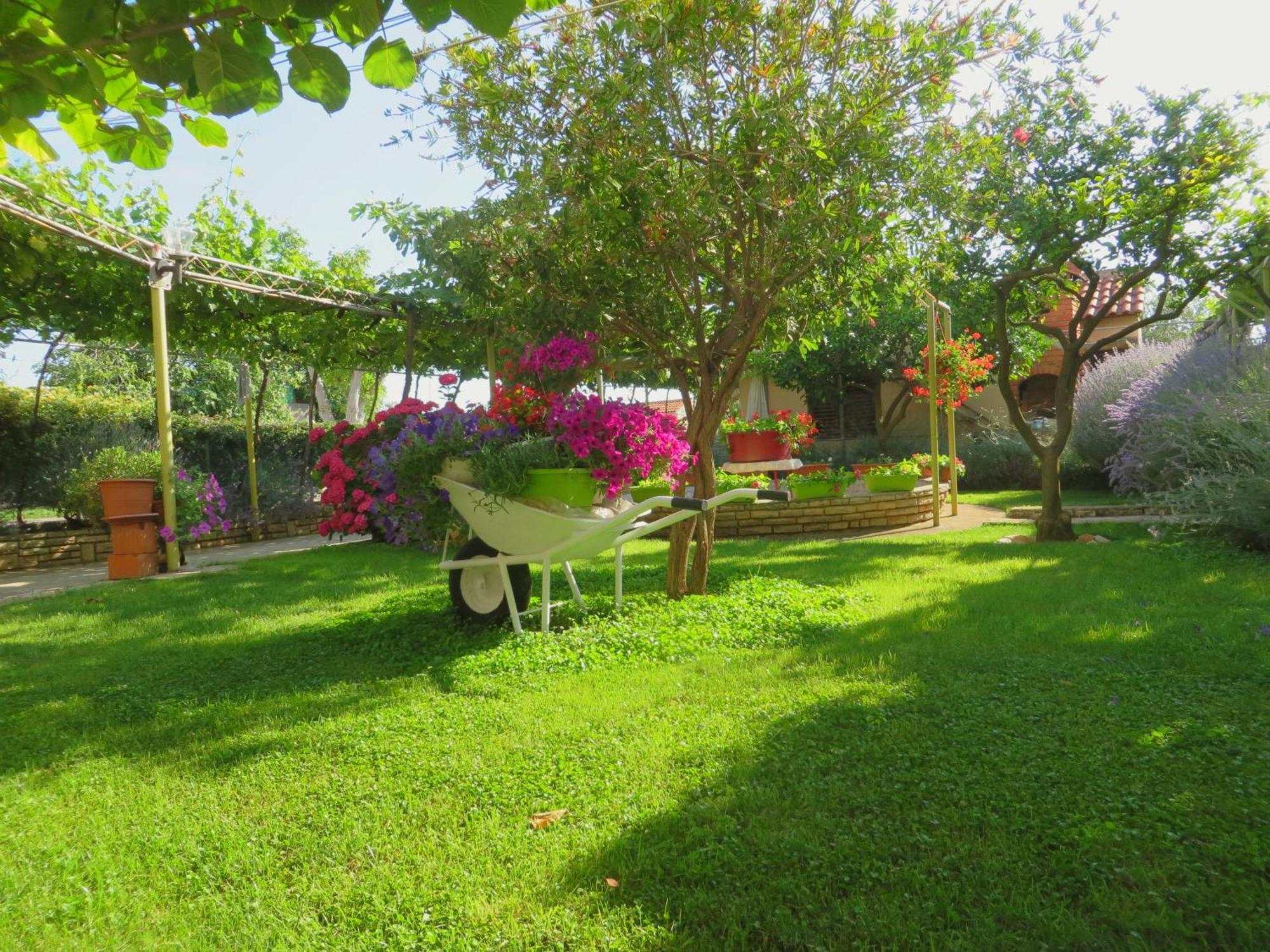Beach Apartments Roza - The Garden Apartment Biograd Na Moru Exterior photo